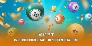 Lottery: Cách Chơi Chuẩn Xác Cho Người Mới Bắt Đầu