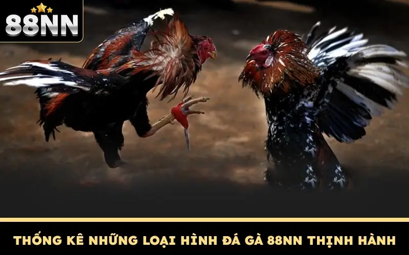 Đá Gà 88NN - Sòng Gà Đẳng Cấp Đậm Chất Dân Chơi 2 Thống kê những loại hình đá gà 88NN thịnh hành